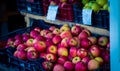 Fresh apples at a market in Sighetu MarmaÃâºiei